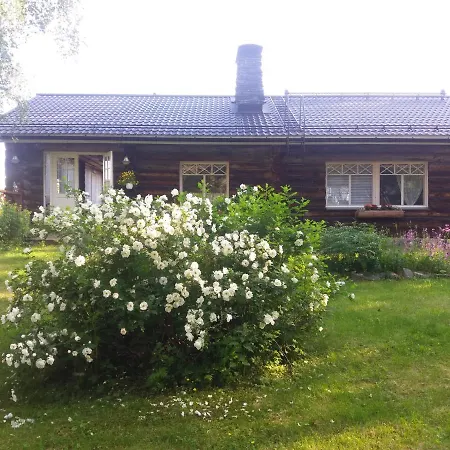 A In A Lapland House Of Dreams 로바니에미