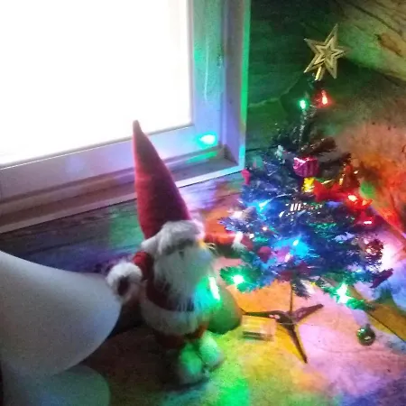 A In A Lapland House Of Dreams Homestay *