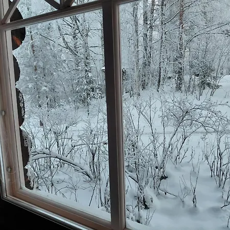 A In A Lapland House Of Dreams